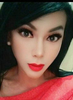 TS Andini - Hot, passionate, fun & party - Transsexual escort in Jakarta Photo 5 of 19