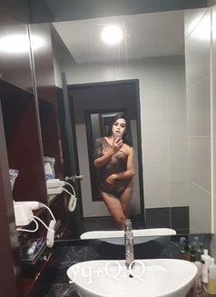 TS Andini - Hot, passionate, fun & party - Acompañantes transexual in Johor Bahru Photo 15 of 22
