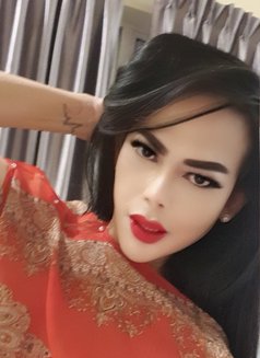TS Andini - Hot, passionate, fun & party - Acompañantes transexual in Johor Bahru Photo 16 of 22