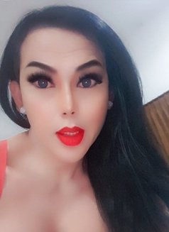 Privat party for have good time - Transsexual escort in Kuala Lumpur Photo 2 of 17