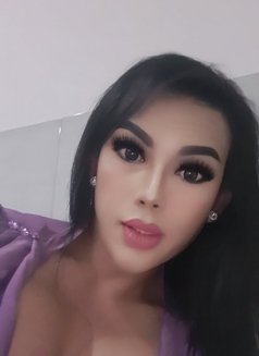 Privat party for have good time - Transsexual escort in Kuala Lumpur Photo 12 of 17