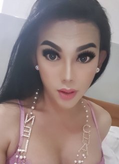 Privat party for have good time - Transsexual escort in Kuala Lumpur Photo 14 of 17