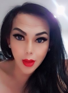 Privat party for have good time - Transsexual escort in Kuala Lumpur Photo 16 of 17