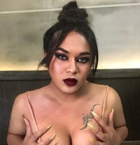 Ts Angel - Transsexual escort in Bangkok