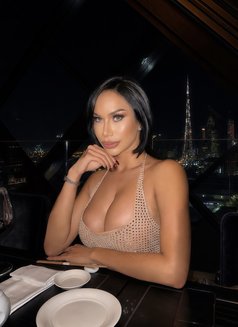 TS ANGELA THAI COLOMBIA VVIP🇨🇴 - Transsexual companion in Dubai Photo 29 of 29