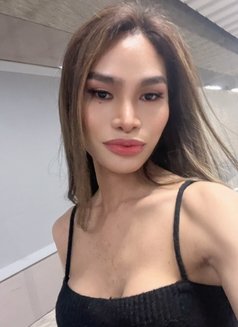 Ts Anne From Philippines 🇵🇭 - Transsexual escort in Singapore Photo 9 of 13