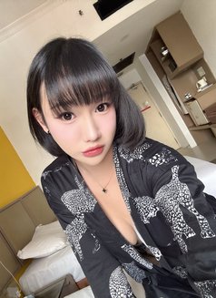 TS ARAYA - Acompañantes transexual in Kuala Lumpur Photo 16 of 16