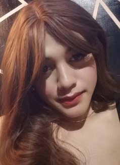 Ts Arcy - Transsexual escort in Manila Photo 1 of 17