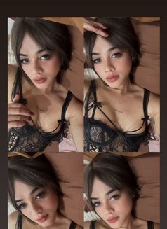 Ts Arcy - Transsexual escort in Manila Photo 16 of 17