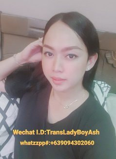 Ts Ash Le Y - Transsexual escort in Manila Photo 2 of 3