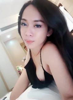 Ts Ashle Y - Transsexual escort in Manila Photo 3 of 4