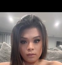 Ts Ashley - Transsexual escort in Perth