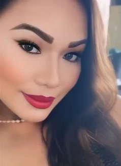 Ts Asianhottie - Transsexual escort in Manila Photo 10 of 15