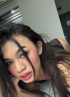 Ts Athena - Acompañantes transexual in Kuala Lumpur Photo 3 of 11