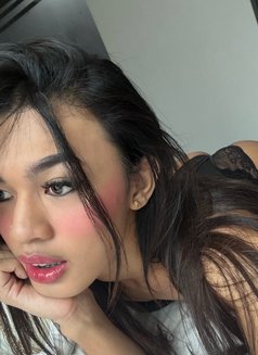 Ts Athena - Acompañantes transexual in Kuala Lumpur Photo 7 of 11