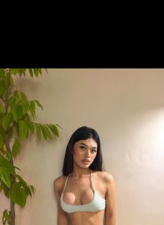 TS DaleinePH - Transsexual escort in Manila Photo 20 of 23