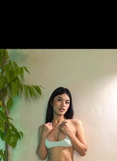 TS DaleinePH - Transsexual escort in Manila Photo 21 of 23