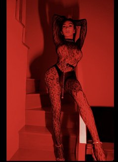 Ts Aubreyy GFE Expert (Most Recommended) - Acompañantes transexual in Bangkok Photo 29 of 30