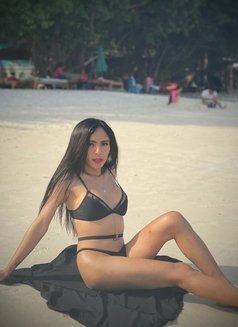 Ts Ava, - Transsexual escort in Bangkok Photo 23 of 29