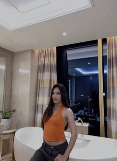 Ts Ayesha Book Now! - Transsexual escort in Manila Photo 1 of 10