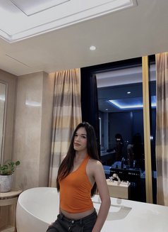 Ts Ayesha Book Now! - Transsexual escort in Manila Photo 2 of 10