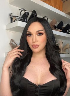 TS BabyDoll World Class just Arrived - Transsexual escort in Abu Dhabi Photo 5 of 6
