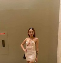 Ts Barbie Doll - Transsexual escort in Manila