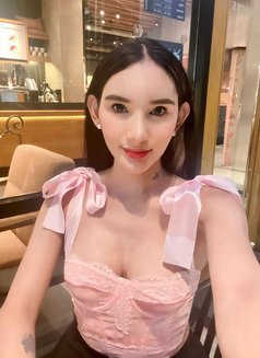 Ts Barbie Doll - Transsexual escort in Manila Photo 5 of 7