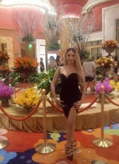 Ts Barbie - Transsexual escort in Manila Photo 4 of 10