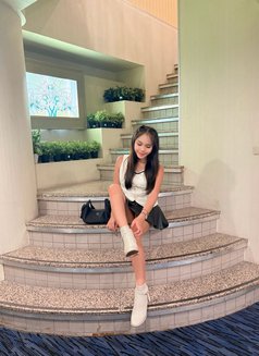 TS_BarbieAri - Acompañantes transexual in Taipei Photo 10 of 10