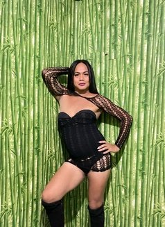 Ts Bea - Transsexual escort in Manila Photo 8 of 9