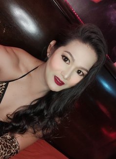 Ladyboy Hunter 4 sweetdaddy - Transsexual escort in Angeles City Photo 1 of 21
