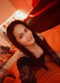 Ladyboy Hunter 4 sweetdaddy - Acompañantes transexual in Angeles City Photo 4 of 21