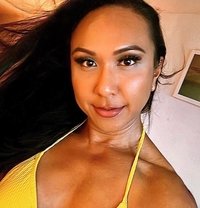 Ts Brenda Sexually Vers as Fuck in SG - Transsexual escort in Singapore