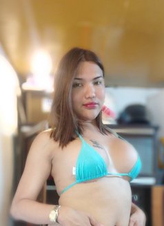 BRIANNA TOP LADYBOY for CUMSHOW! - Transsexual escort in Manila Photo 13 of 15