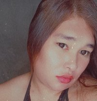 Ts Bubbles (Cam show only) - Acompañantes transexual in Riyadh