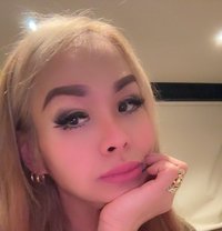 Ts Busty Mistress Super Top - Transsexual escort in Melbourne