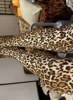 Ts Busty Mistress Super Top - Transsexual escort in Melbourne Photo 5 of 11