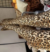 Ts Busty Mistress Super Top - Acompañantes transexual in Melbourne