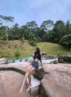 Ts Cassy - Transsexual escort in Davao Photo 7 of 11