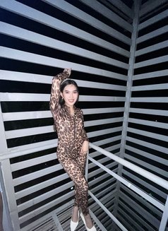 Ts Cassy - Transsexual escort in Davao Photo 12 of 12