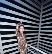 Ts Cassy - Transsexual escort in Davao