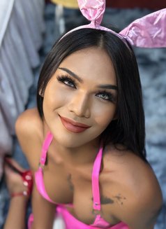 Ts Chalisa - Transsexual escort in Ko Samui Photo 26 of 30