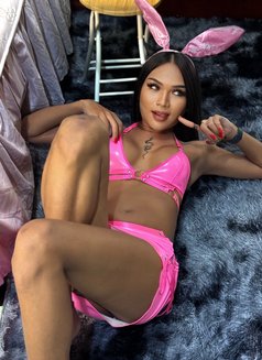 Ts Chalisa - Transsexual escort in Ko Samui Photo 27 of 30