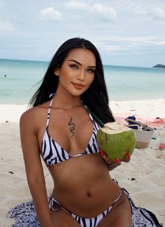 Ts Chalisa - Transsexual escort in Ko Samui Photo 28 of 30