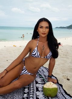 Ts Chalisa - Transsexual escort in Ko Samui Photo 29 of 30