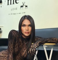 Ts Chalisa - Transsexual escort in Ko Samui