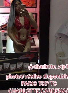 TS CHARLOTTE 24cm XXXL - Transsexual escort in Paris Photo 1 of 13
