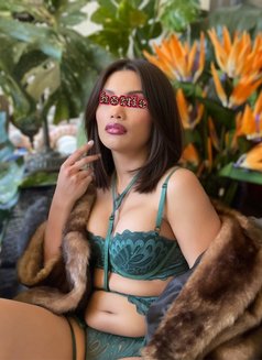 TS CHEETARA IN BRISBANE, HONEY - Acompañantes transexual in Brisbane Photo 15 of 16