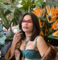 TS CHEETARA IN BRISBANE, HONEY - Acompañantes transexual in Brisbane Photo 15 of 16